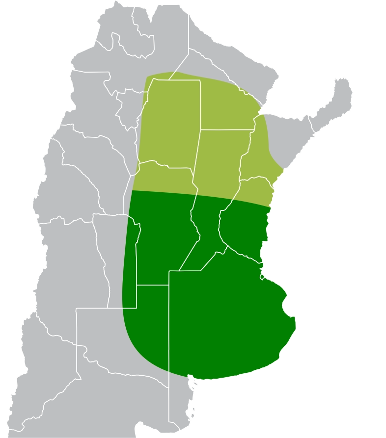 Mapa de Recomendación ARG 7730