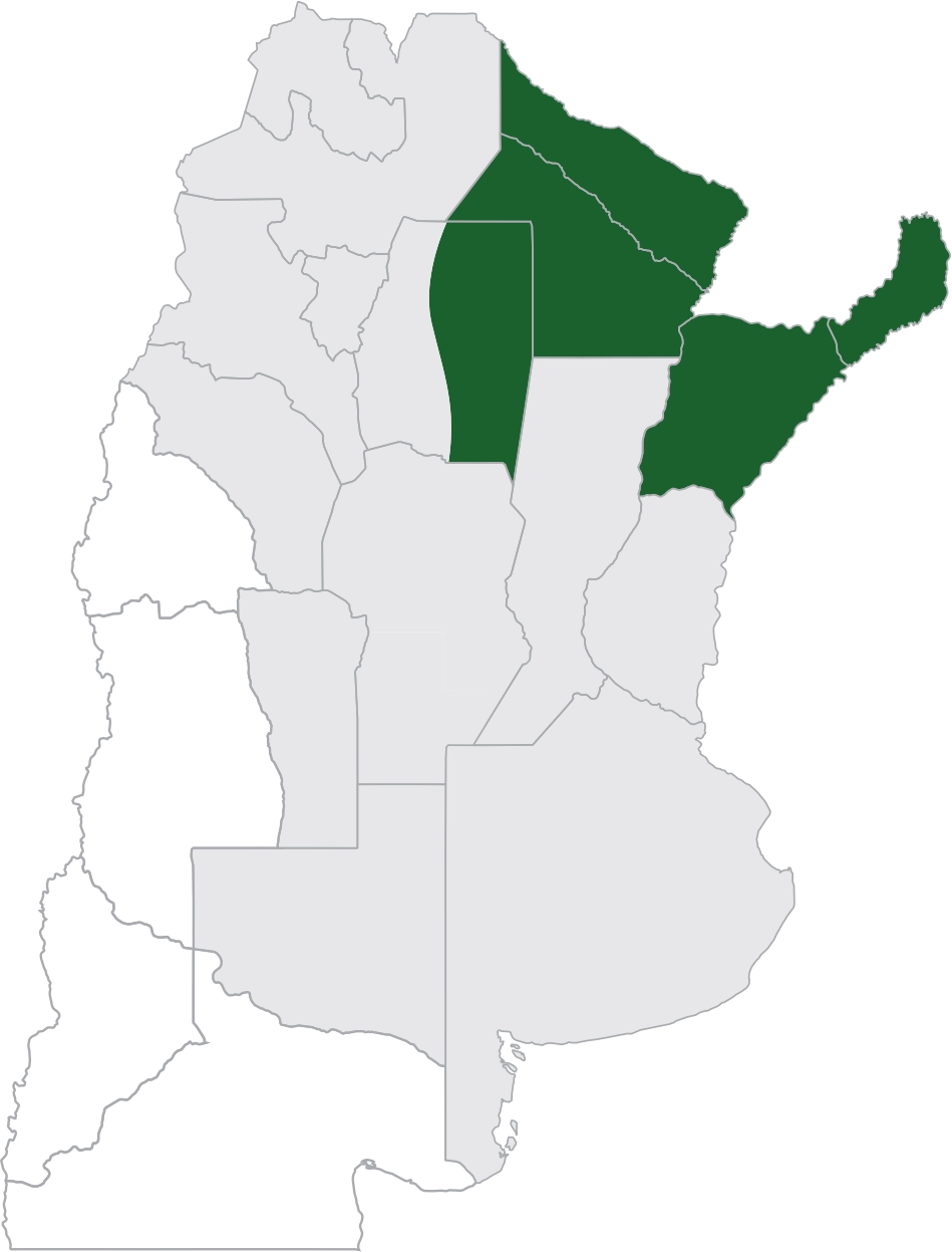 Mapa zona 5